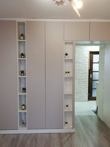 Шкаф-купе распашной №11