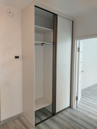 Шкаф-купе встроенный №22