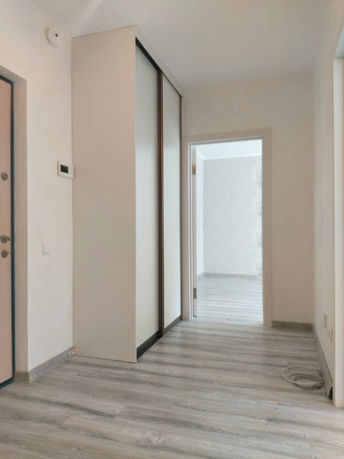 Шкаф-купе встроенный №22