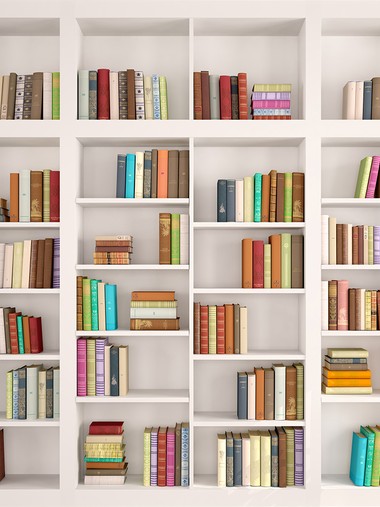 Книжный гарнитур №5