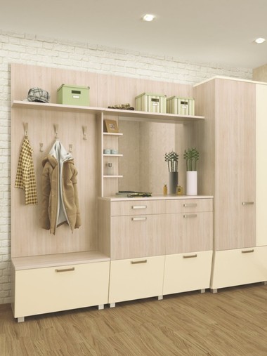 Комплект мебели в прихожую №11