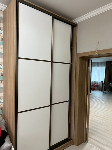 Шкаф-купе корпусной №16