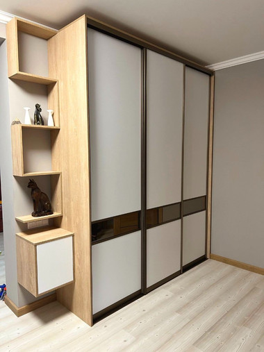 Шкаф-купе корпусной №19